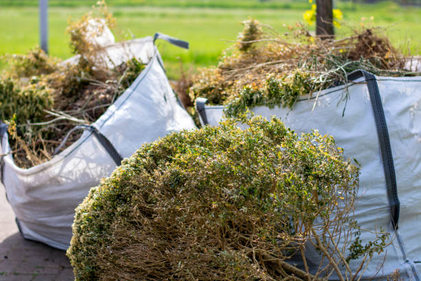 Best Appliance Removal Near Me  in Winnebago, MN