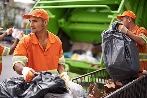 Yard Cleanup Services in Winnebago, MN